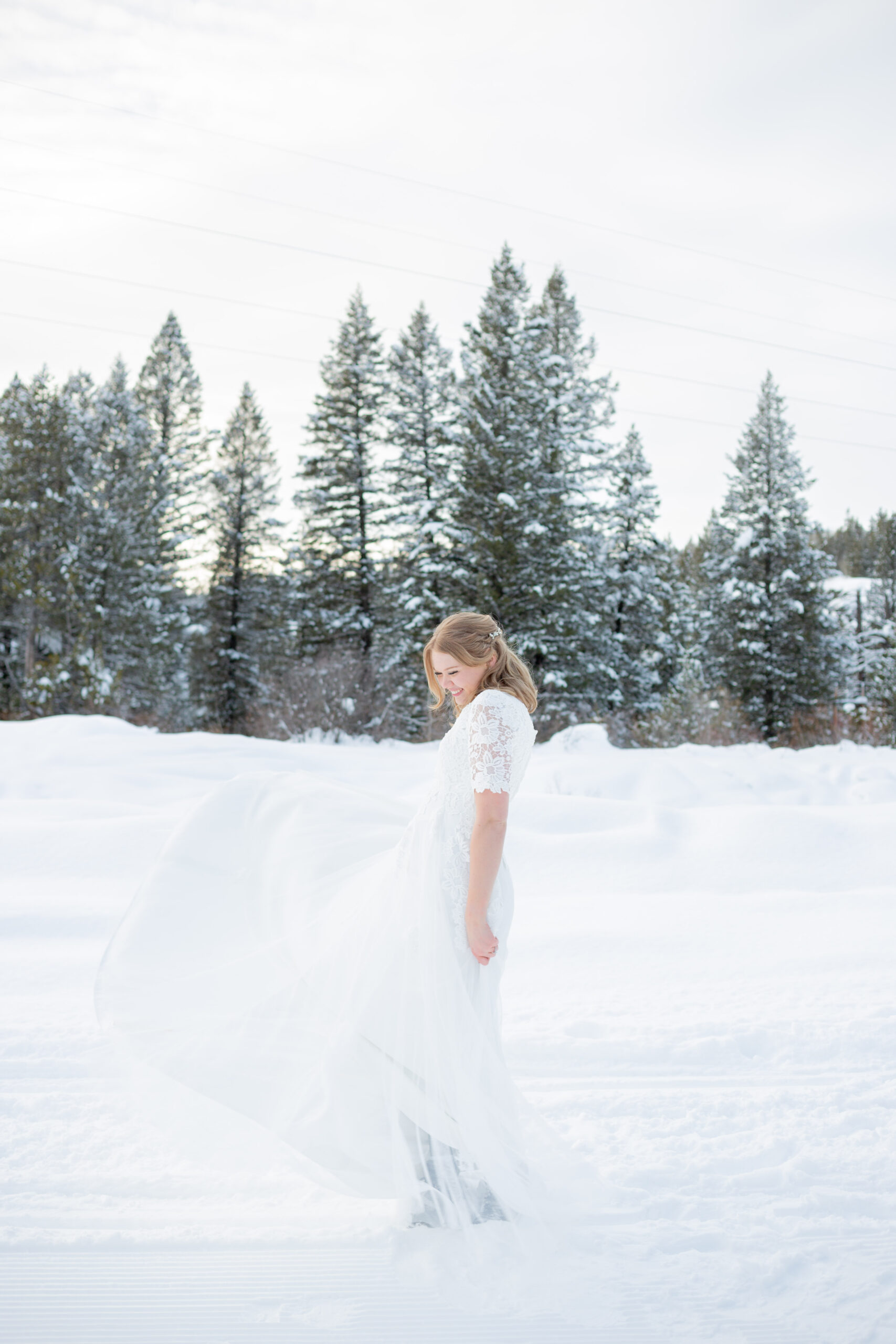 snowy-bridals
