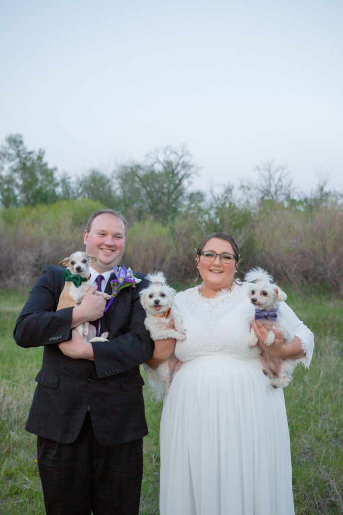 bride-and-groom-with-pups