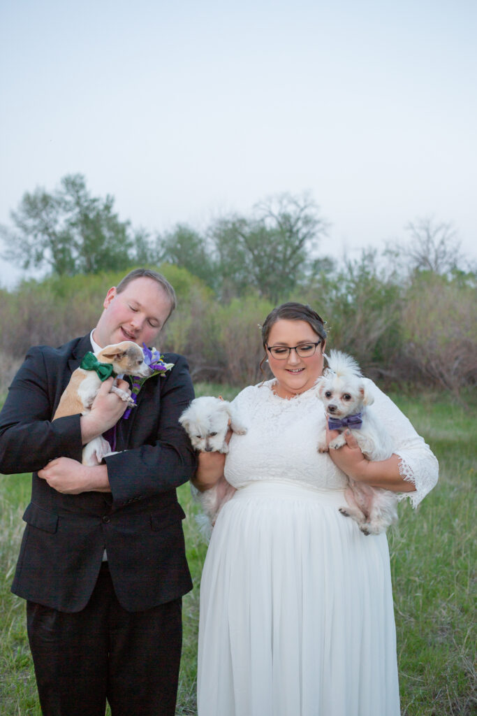 bride-and-groom-with-pups